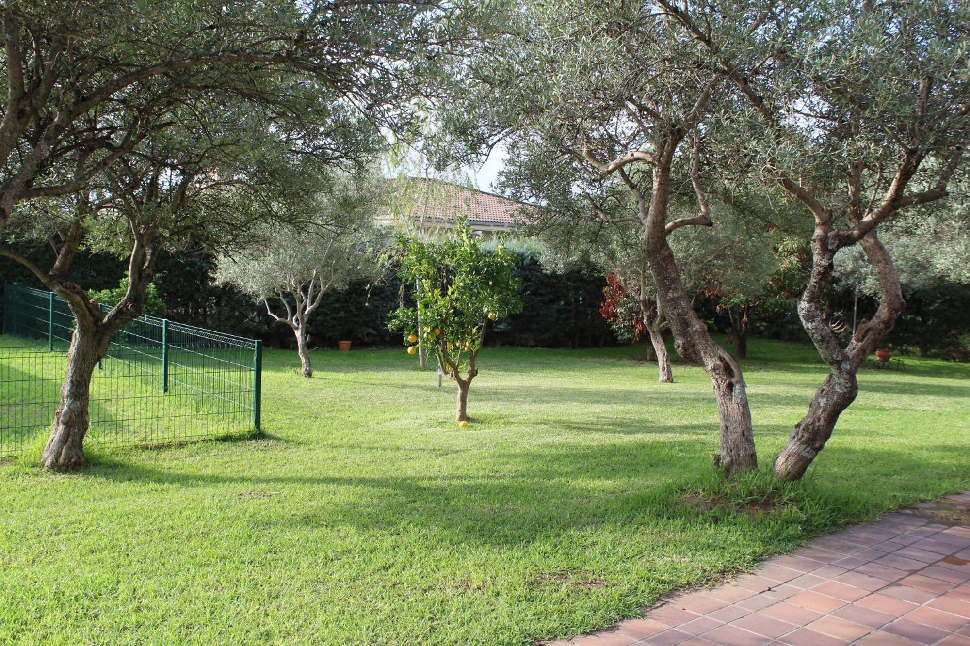 La Huertarrona Apartment Candeleda Bagian luar foto